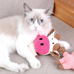 Cute Squeaky Dog Toy for Small-Medium Dogs