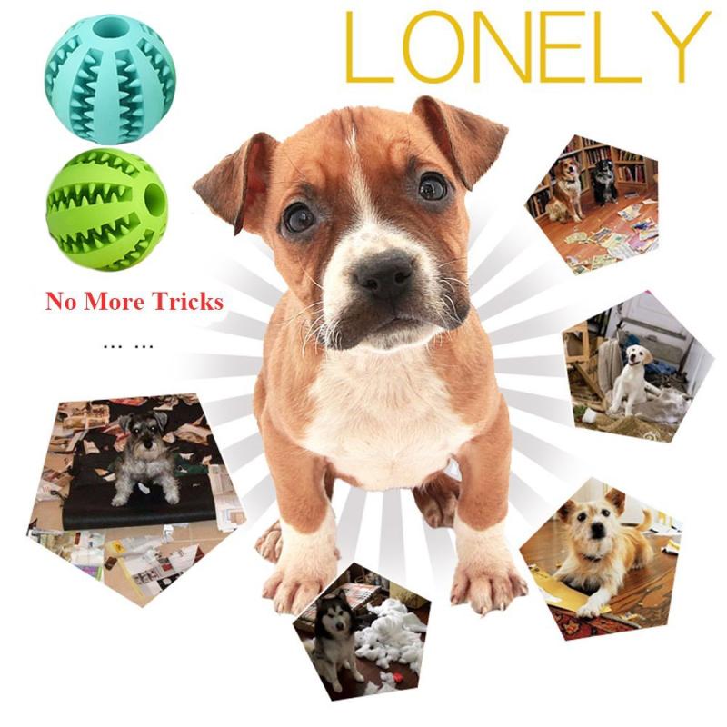 Pet Ball Chew Toy Interactive Toy For Dogs Fun Training Teeth Cleaning