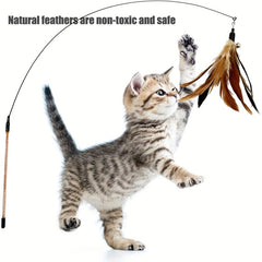 6pcs Natural Bird Feather Cat Wand Refills Interactive Toy