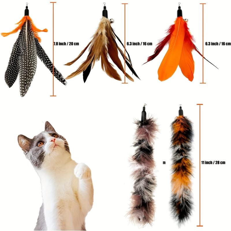 6pcs Natural Bird Feather Cat Wand Refills Interactive Toy