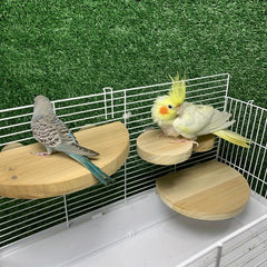 Wood Parrot Bird Perch Stand Platform Cage Accessory for Small Animals and Birds
