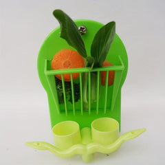 Bird Parrot Feeder Cage for Fruits & Vegetables