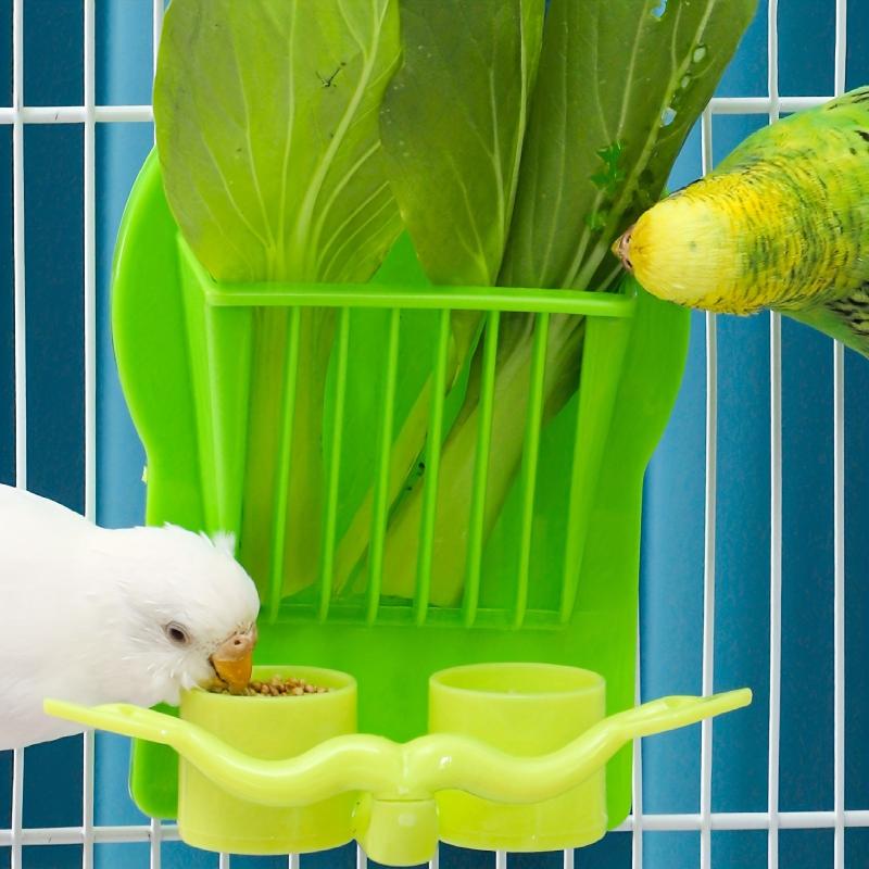 Bird Parrot Feeder Cage for Fruits & Vegetables