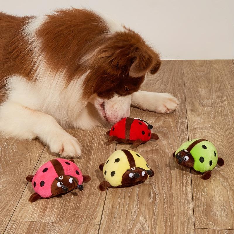 Ladybug Interactive Dog Toy for Training and Teeth Cleaning