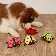 Ladybug Interactive Dog Toy for Training and Teeth Cleaning