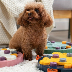 Pet Puzzle Toy Slow Feeder Bowl For Dog & Cat Interactive Training