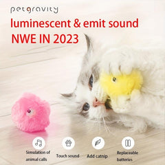 Smart Cat Toy Interactive Ball Training Pet Squeaky Toy For Cats