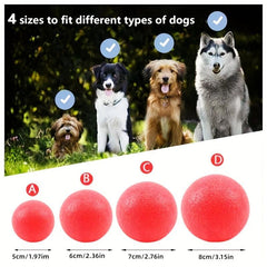 Durable Dog Chew Toy Rubber Ball Teeth Grinding Interactive Play