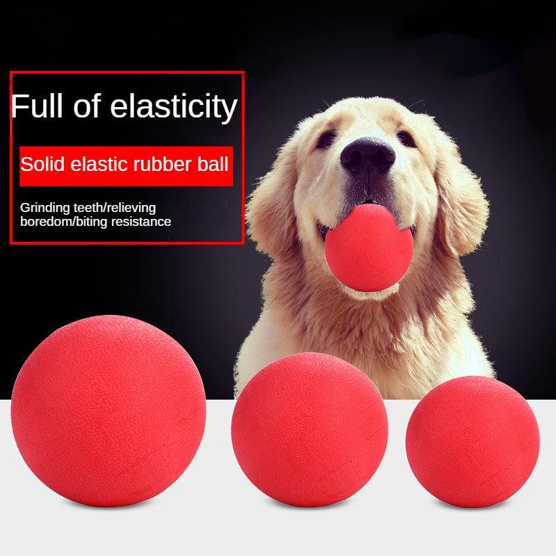 Durable Dog Chew Toy Rubber Ball Teeth Grinding Interactive Play
