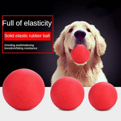 Durable Dog Chew Toy Rubber Ball Teeth Grinding Interactive Play