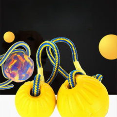 Indestructible Dog Ball Toy with Rope, Interactive Chew Toy