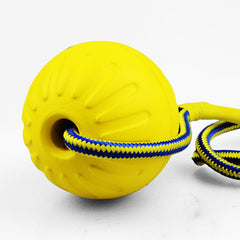 Indestructible Dog Ball Toy with Rope, Interactive Chew Toy