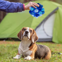 Interactive Sniffing Ball for Dogs Hide & Seek Play