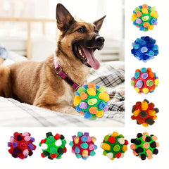 Interactive Sniffing Ball for Dogs Hide & Seek Play