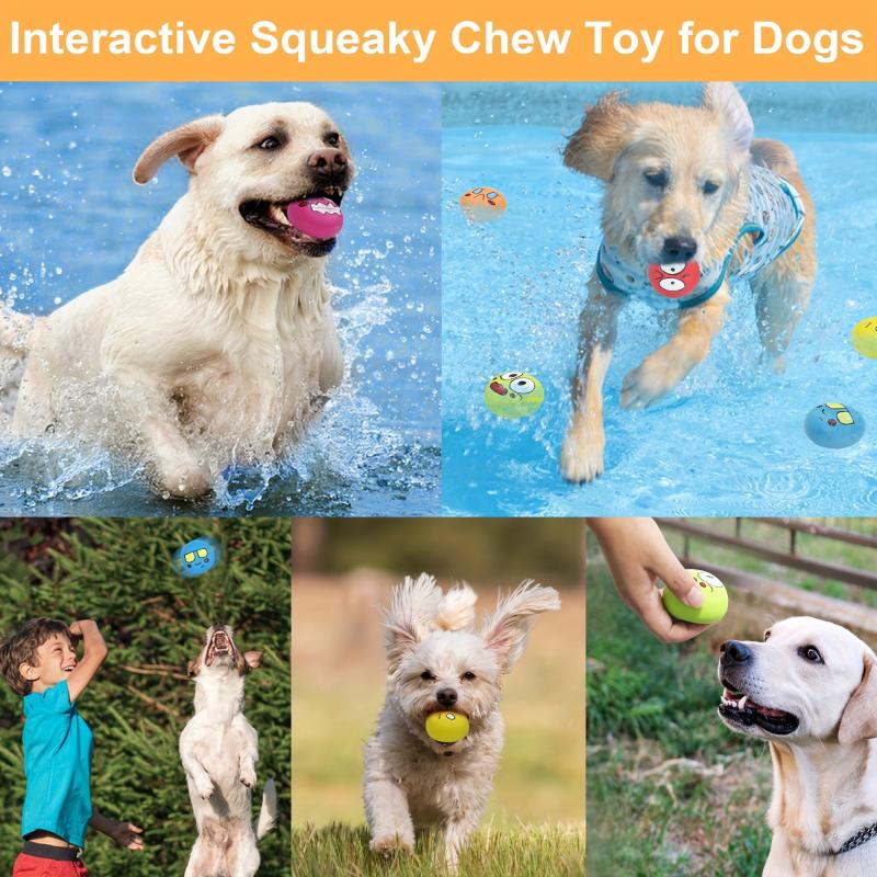 6 Pcs Squeaky Dog Toys Rubber Balls for Chewing & Teething Fun
