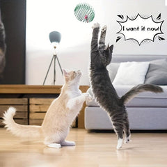 3pcs Colorful Spring Toy Set for Cats