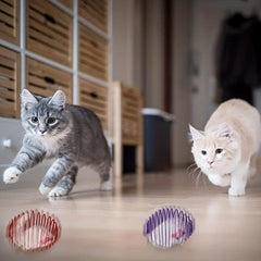 3pcs Colorful Spring Toy Set for Cats