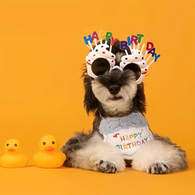 Dog Birthday Hat & Bandana Set - Celebrate Your Pet's Special Day