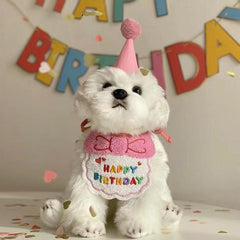 Dog Birthday Hat & Bandana Set - Celebrate Your Pet's Special Day