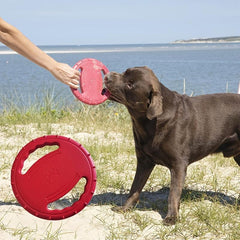 Durable Pet Training Disc Toy for Interactive Dog Play