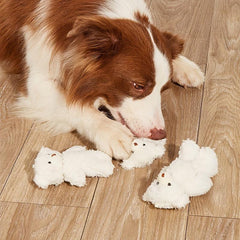 Bear Pet Grinding Teeth Squeaky Plush Toy for Dogs