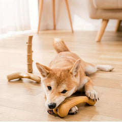 2pcs Durable Dog Chew Toys for Aggressive Chewers