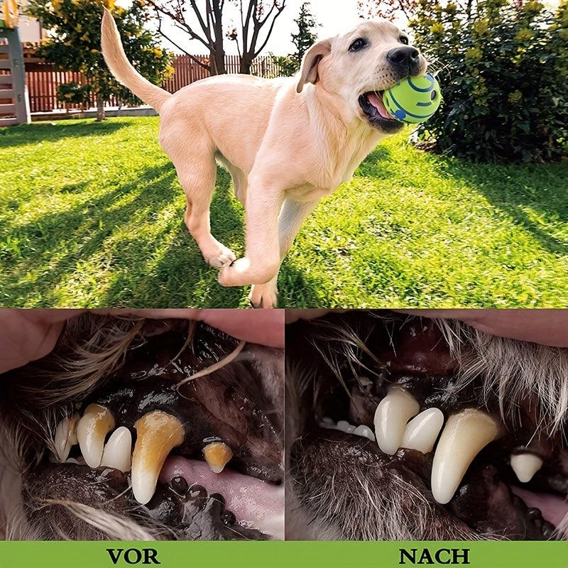 Durable Dog Ball Toy for Grinding Teeth and Interactive Play with Sound