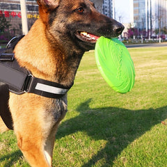 1pc Pet Training Flying Disc Chew Durable Toy For Dog