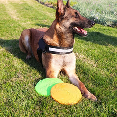 1pc Pet Training Flying Disc Chew Durable Toy For Dog