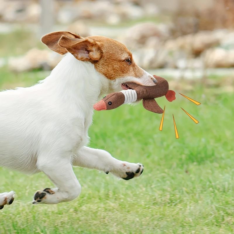 Interactive Pet Toy Wild Goose Sound Chew Toys for Small Dogs and Cats