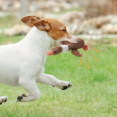 Interactive Pet Toy Wild Goose Sound Chew Toys for Small Dogs and Cats
