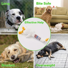 Plush Squeaky Dog Toy with Chew Rope for Teething Puppies & Large Dogs