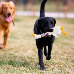 Plush Squeaky Dog Toy with Chew Rope for Teething Puppies & Large Dogs