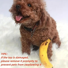 Squeaky Dog Chew Toy with Banana for Teeth Grinding