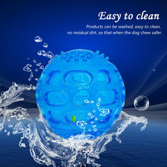 Durable Dog Ball Toy for Teeth Grinding & Interactive Play with Sound Effects