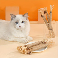 Cat Chew Sticks Toys Teeth Cleaning Kitten Toy Indoor Cats Pet Supplies