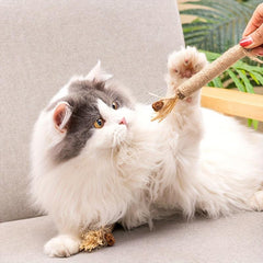Cat Chew Sticks Toys Teeth Cleaning Kitten Toy Indoor Cats Pet Supplies
