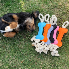Durable Puppy Chew Toy with Rope for Healthy Teeth