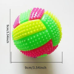 Dog Glowing Molar Burr Ball Toy - Interactive Dog Toy