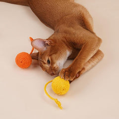 Durable Cat Teaser Stick with Ball Toy for Indoor Play