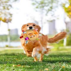 Pet Ball Sound Plush Toy Interactive Chew Squeaky Toy For Pets