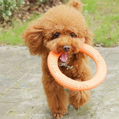 Durable Plain Pet Training Flying Disc Ring Chew Toy