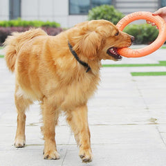 Durable Plain Pet Training Flying Disc Ring Chew Toy