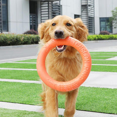 Durable Plain Pet Training Flying Disc Ring Chew Toy