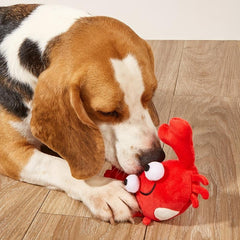 Durable Crab Toy for Teeth Grinding - Squeaking