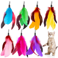 8pcs Cat Feather Toys Replacement Interactive Cat Wand Toy with PVC Teaser Stick