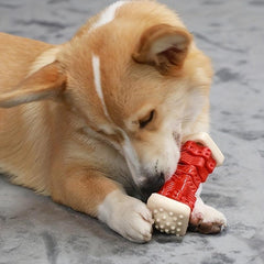 Indestructible Dog Chew Toy Interactive Bone Food Dispensing Tooth Cleaning