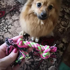 Durable Braided Rope Knot Pet Toy for Dog Teeth Cleaning
