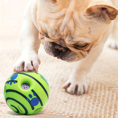 Interactive Pet Ball Toy for Dogs & Pets