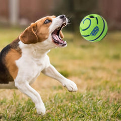 Interactive Pet Ball Toy for Dogs & Pets